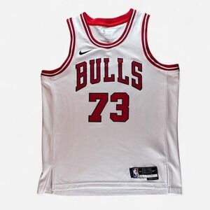 Nike NBA Chicago Bulls Custom Swingman jersey #73